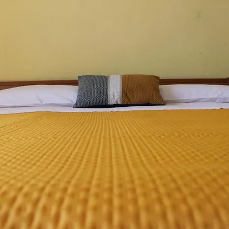 Piccolo Nuova Gestione