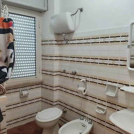 Piccolo Nuova Gestione