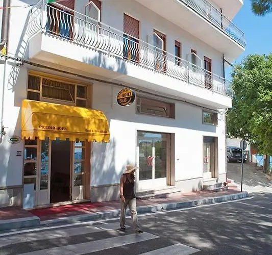 Piccolo Nuova Gestione