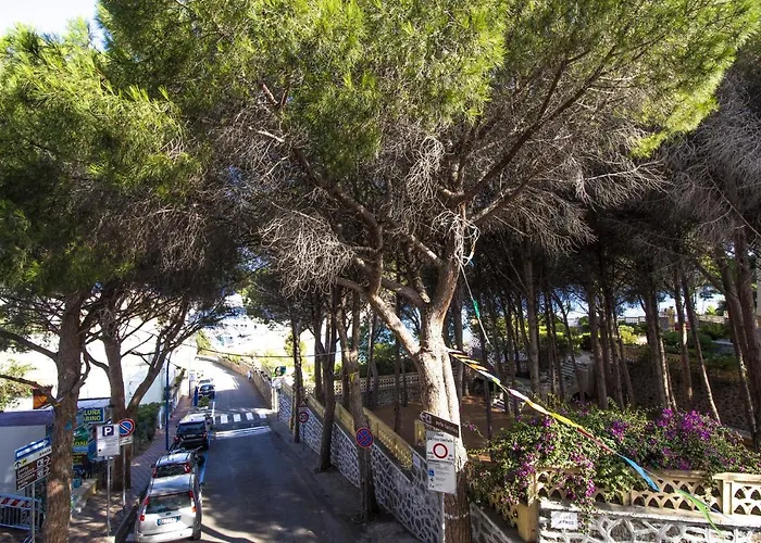 Piccolo Nuova Gestione 2* Cala Gonone