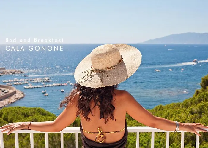 Piccolo Nuova Gestione 2*