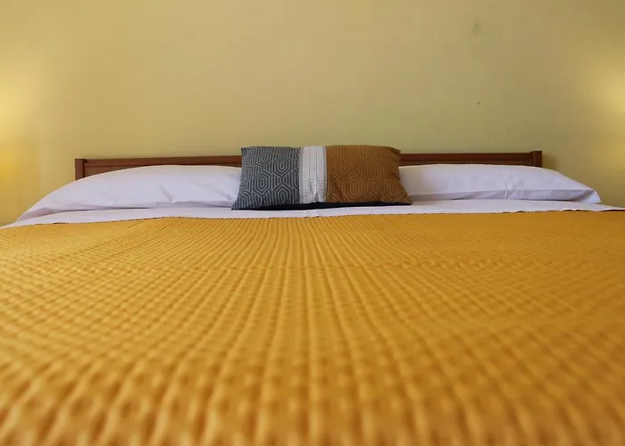 Piccolo Nuova Gestione