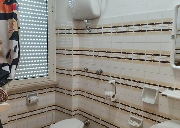 Piccolo Nuova Gestione